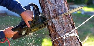 Best Aeration Services  in Redwood, OR