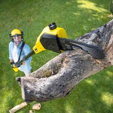  Redwood, OR Tree Care Pros
