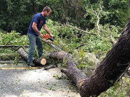 Best Pest Control for Lawns  in Redwood, OR
